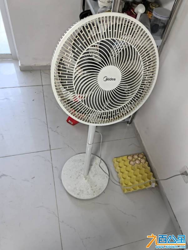 wechat_upload17680345736962110db8094