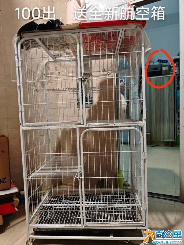 wechat_upload1768454077696877bd30d1b