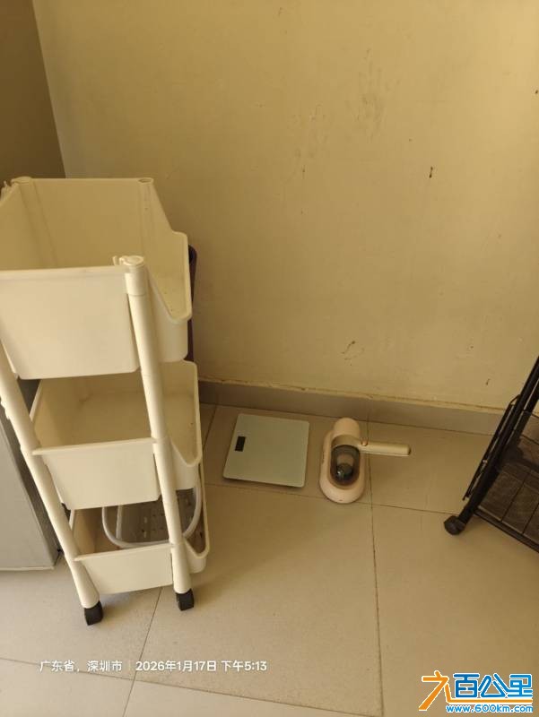 wechat_upload1768641267696b52f397f30