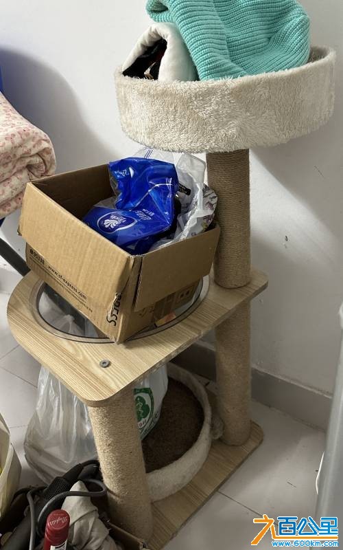 wechat_upload176935272569762e156d0e6