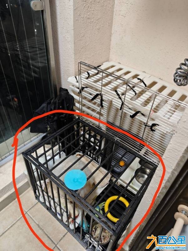 wechat_upload17700140926980458ce9c9b