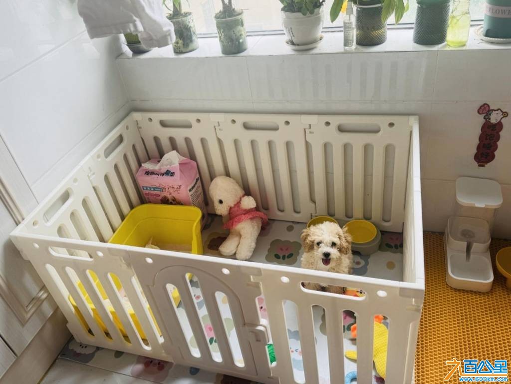 wechat_upload177001564269804b9a7b9d7