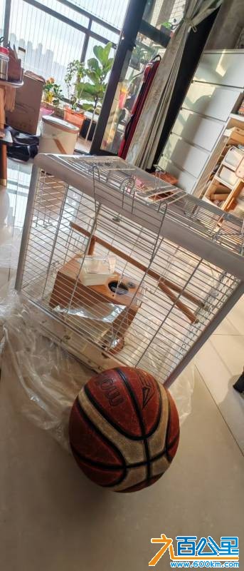 wechat_upload177001586869804c7c6f770