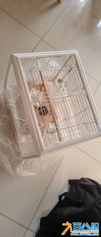 wechat_upload177001586969804c7d91f6b