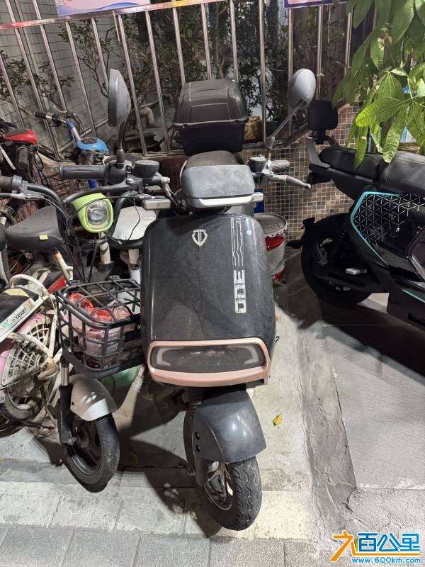 wechat_upload1772068772699f9fa4378f0