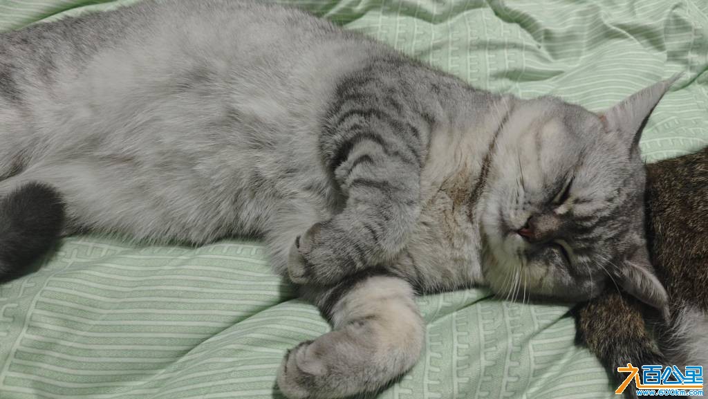 wechat_upload177226067169a28d3fa13bf