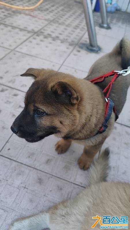 wechat_upload177229004969a3000180fe7