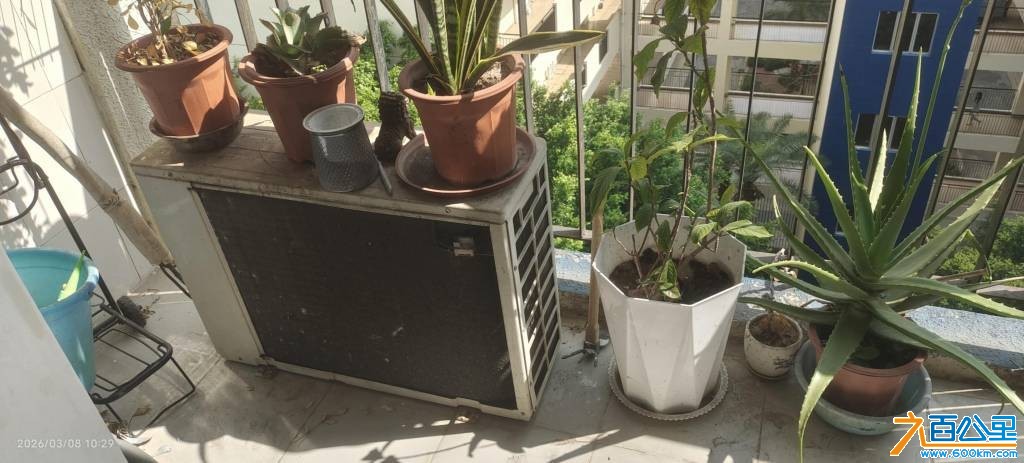 wechat_upload177302932669ae47cec3978