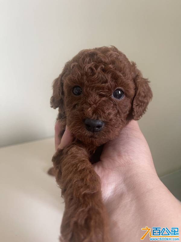 wechat_upload177466176269c7308242aac