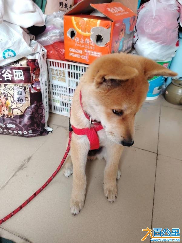 wechat_upload177510481669cdf3306160b