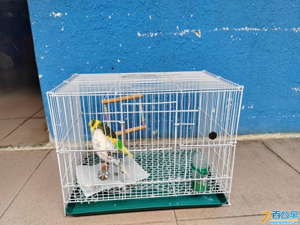 wechat_upload177613498369ddab471ecf5